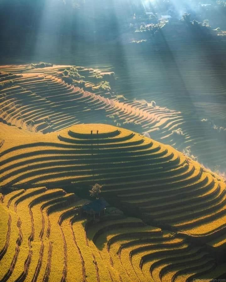 Homestay Hoa Thao - Bus ,Trek & Motorbike Mu Cang Chai ภายนอก รูปภาพ